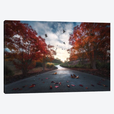 Fall Colors Canvas Print #OXM5789} by Aidong Ning Canvas Wall Art