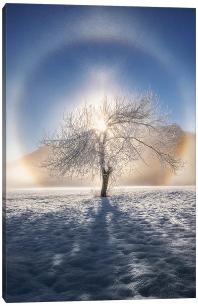 Ring Of Frost Canvas Art Print