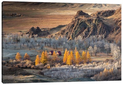 Oasis In The Mountains (Altai) Canvas Art Print