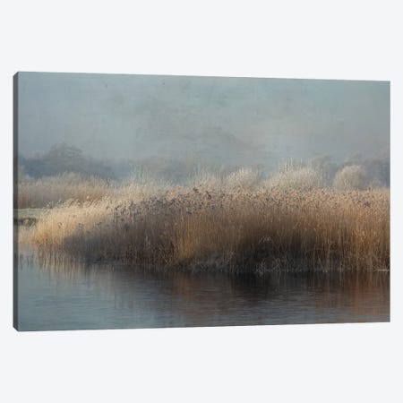 Winter In Holland Canvas Print #OXM5815} by Annie Keizer Canvas Art Print