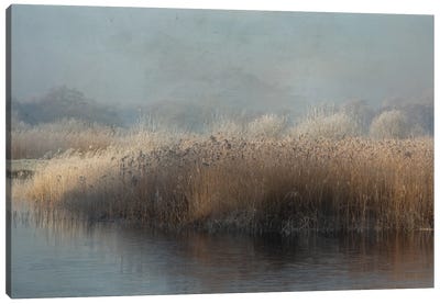 Winter In Holland Canvas Art Print
