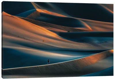 Magnificence Of Desert X Canvas Art Print