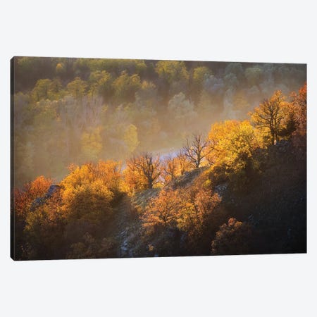 Autumn Trees Canvas Print #OXM5838} by Burger Jochen Canvas Wall Art