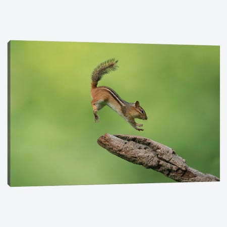 Almost There Canvas Print #OXM5852} by Christopher Schlaf Canvas Art