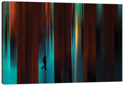 Untitled - Series Of Other Spaces Canvas Art Print