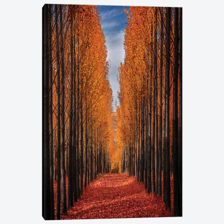 Colorful Autumn Canvas Print #OXM5897} by Hamed Qane Art Print