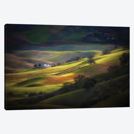 Spring At Trivalley Canvas Print #OXM5939} by Jenny Qiu Canvas Print