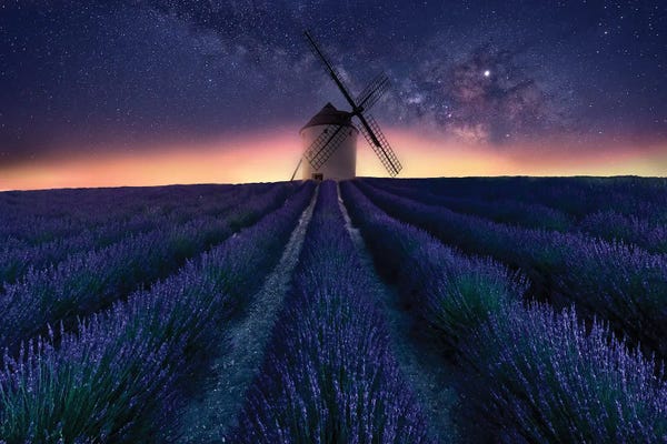 Watermills & Windmills: Lavender Night by Jose Antonio Trivino