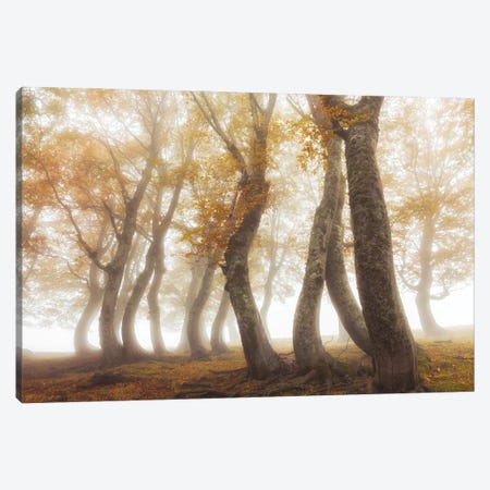 Between Mist And Light Canvas Print #OXM5988} by Luigi Ruoppolo Canvas Art