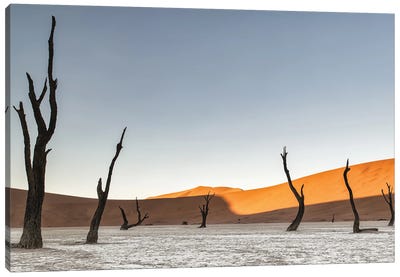 Namibian Desert Canvas Art Print