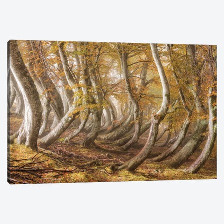 The Wooden Army Canvas Print #OXM5994} by Luigi Ruoppolo Canvas Art