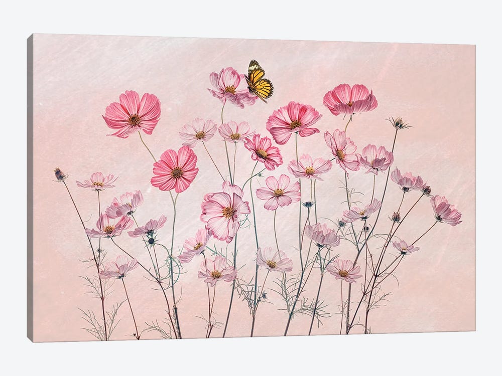 Cosmos And Butterfly by Lydia Jacobs 1-piece Canvas Artwork