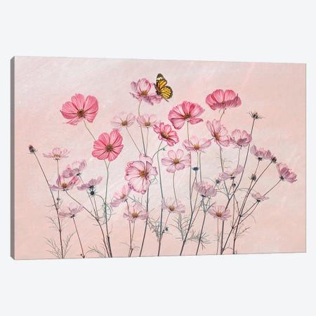 Cosmos And Butterfly Canvas Print #OXM5996} by Lydia Jacobs Canvas Wall Art