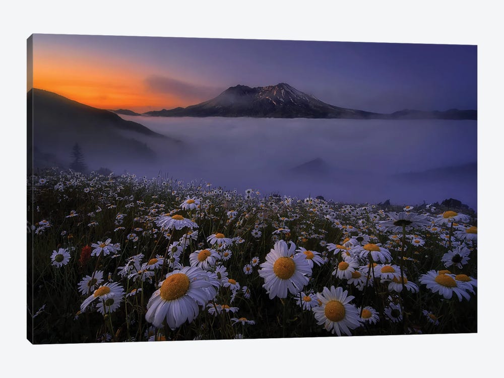 Morning Mist by Lydia Jacobs 1-piece Canvas Print