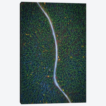 Silent Creek Canvas Print #OXM6015} by Michael Zheng Art Print