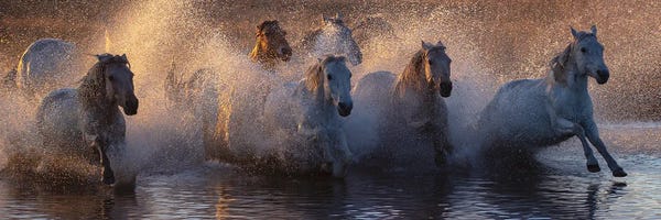 Scenic & Landscapes: Pentium by Qiang Liu