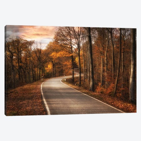 The Road Canvas Print #OXM6077} by Roland Weber Canvas Print