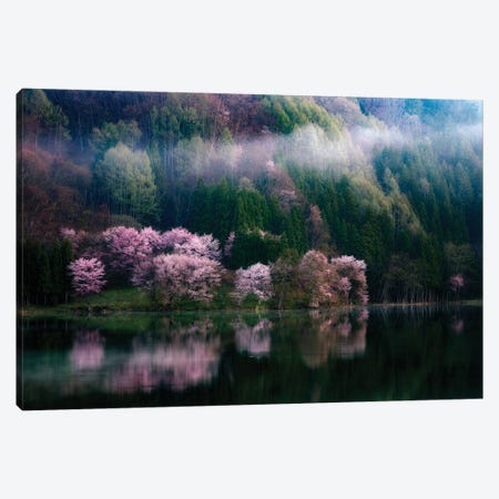 In The Morning Mist Canvas Print #OXM6117} by Takeshi Mitamura Canvas Artwork