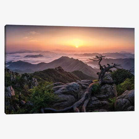 Sunrise On Top Canvas Print #OXM6135} by Tiger Seo Canvas Art