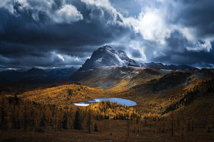 Healy Pass Golden Time