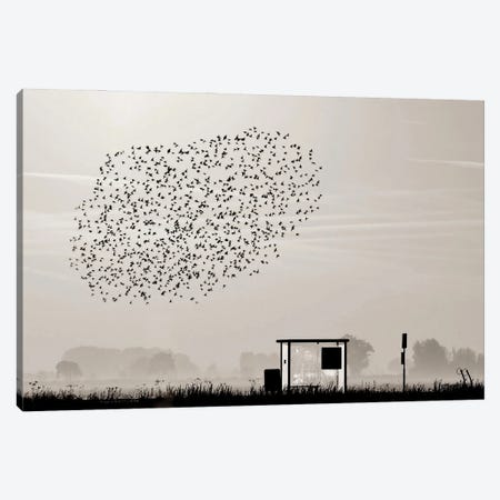 Birds Canvas Print #OXM6215} by Annemieke Art Print
