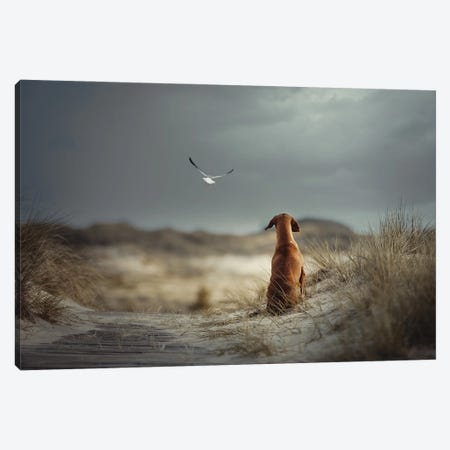Freedom II Canvas Print #OXM6273} by Heike Willers Canvas Art