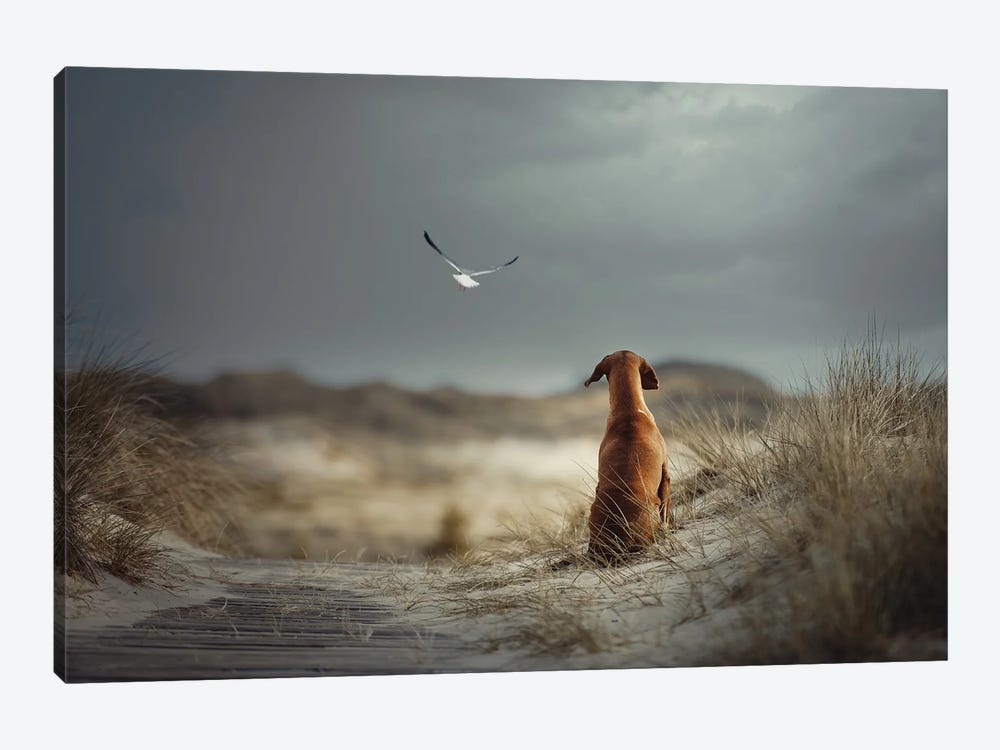 Freedom II by Heike Willers 1-piece Canvas Art
