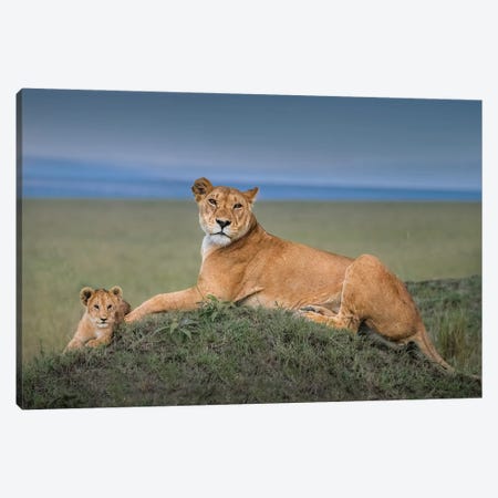 Rest With Cub Canvas Print #OXM6284} by Jie Fischer Canvas Art