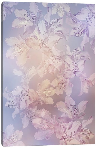 Spring Touch Canvas Art Print