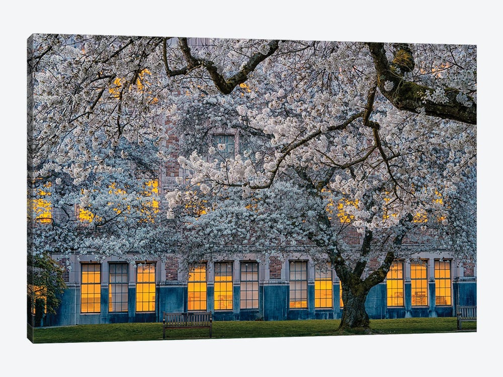 Morning At University Of Washington by Lydia Jacobs 1-piece Canvas Art