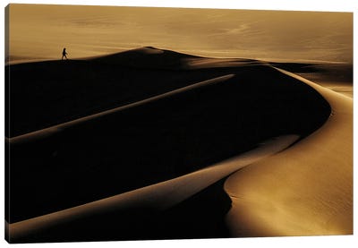 Desert One Canvas Art Print