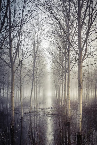 Scenic & Landscapes: Silence Cross by Pamela Doretti