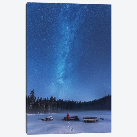 Under The Starry Night Canvas Print #OXM6397} by Ales Krivec Canvas Art