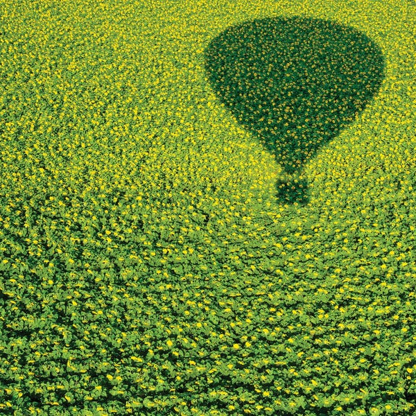 Hot Air Balloons: A Hundred Million Suns by Avi Revivo
