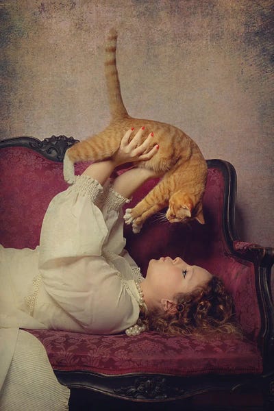 Orange Cats: Cat Lover by Monika Vanhercke
