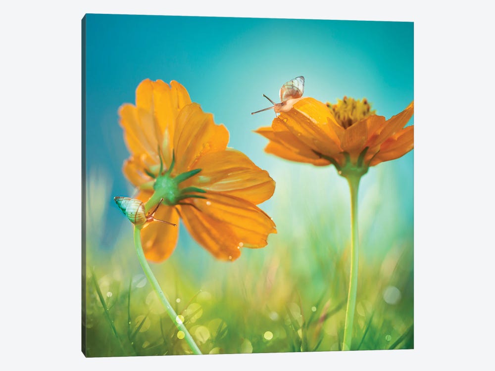 Play Time! by Peiling Lee 1-piece Canvas Wall Art