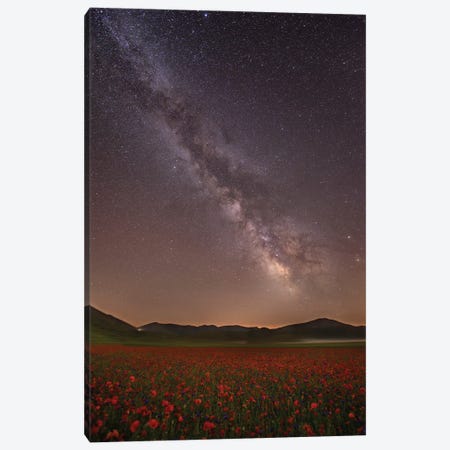 Red Meadows Canvas Print #OXM6462} by Roberto Marchegiani Canvas Art Print