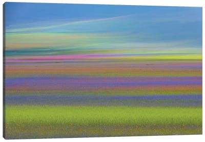 Untitled Canvas Art Print - Abstract Photography