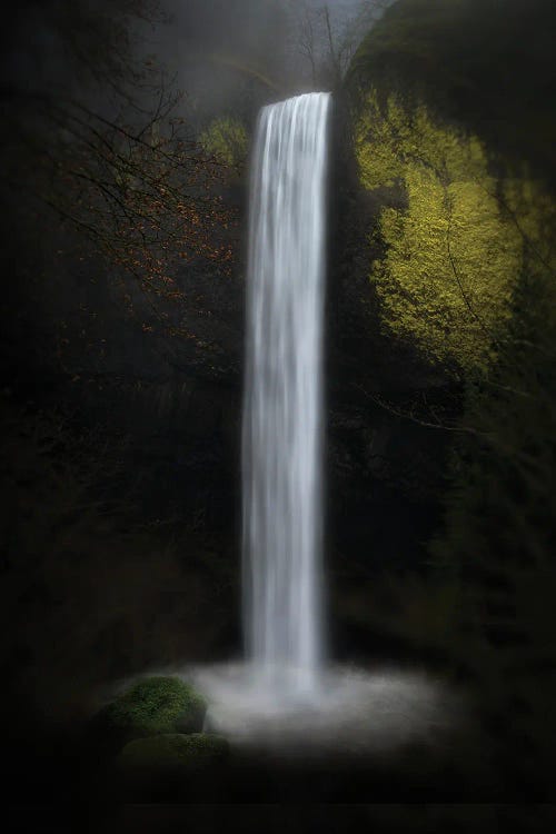 Latourell Falls by Shenshen Dou wall art