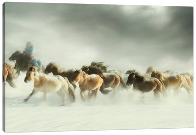 Horses gallop Canvas Art Print