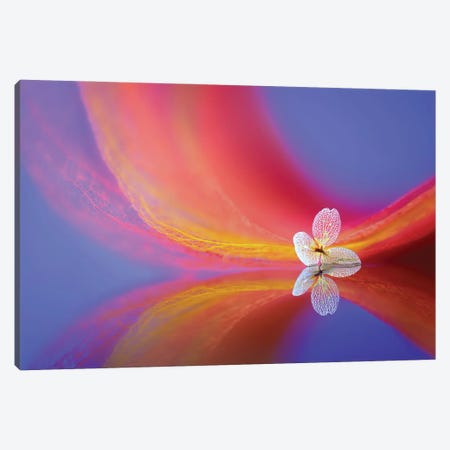 The Whisper Canvas Print #OXM6470} by Sophie Pan Canvas Wall Art