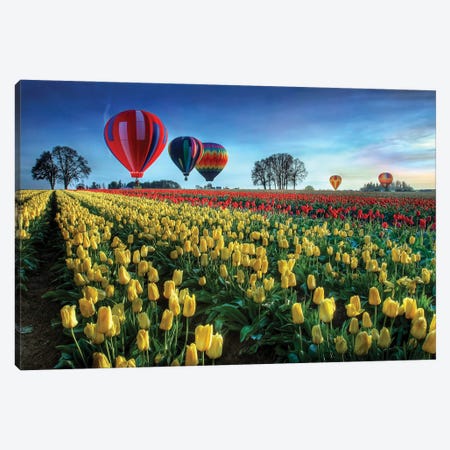 Hot Air Balloons Over Tulip Field Canvas Print #OXM6475} by William Lee Canvas Art Print