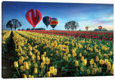Hot Air Balloons Over Tulip Field Canvas Art Print - 1x Floral and Botanicals