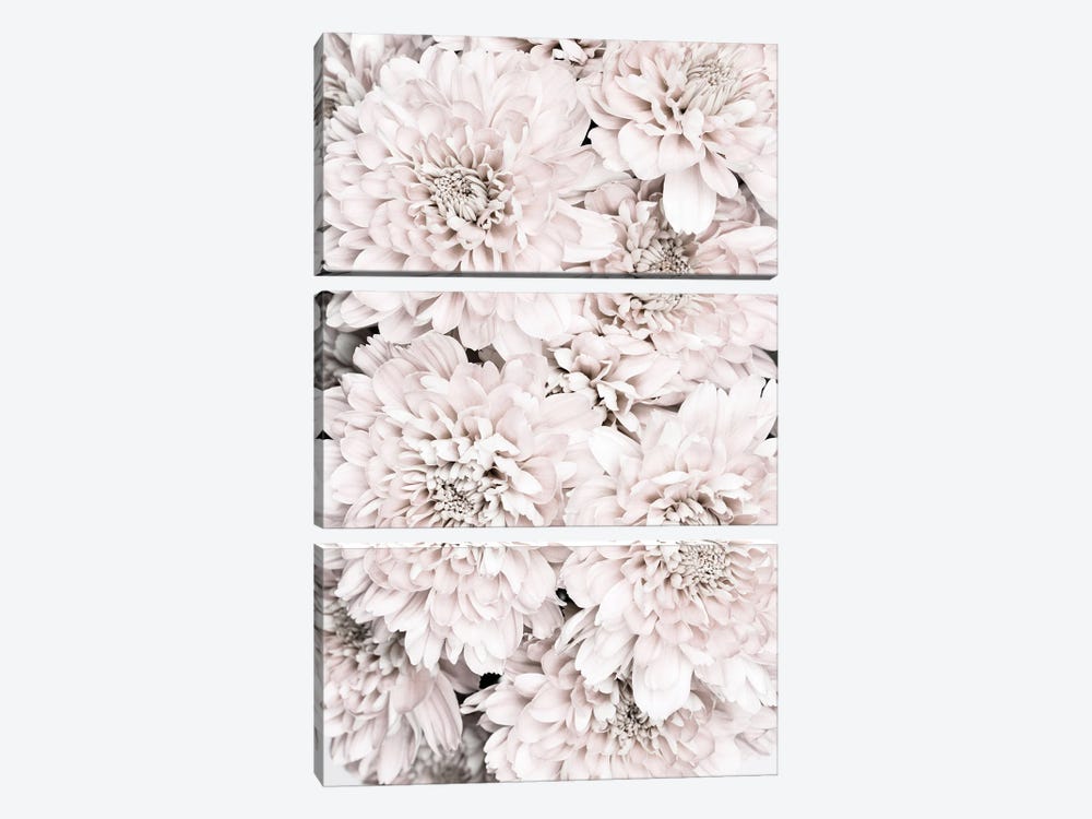 Chrysanthemum IX by 1x Studio 3-piece Canvas Art