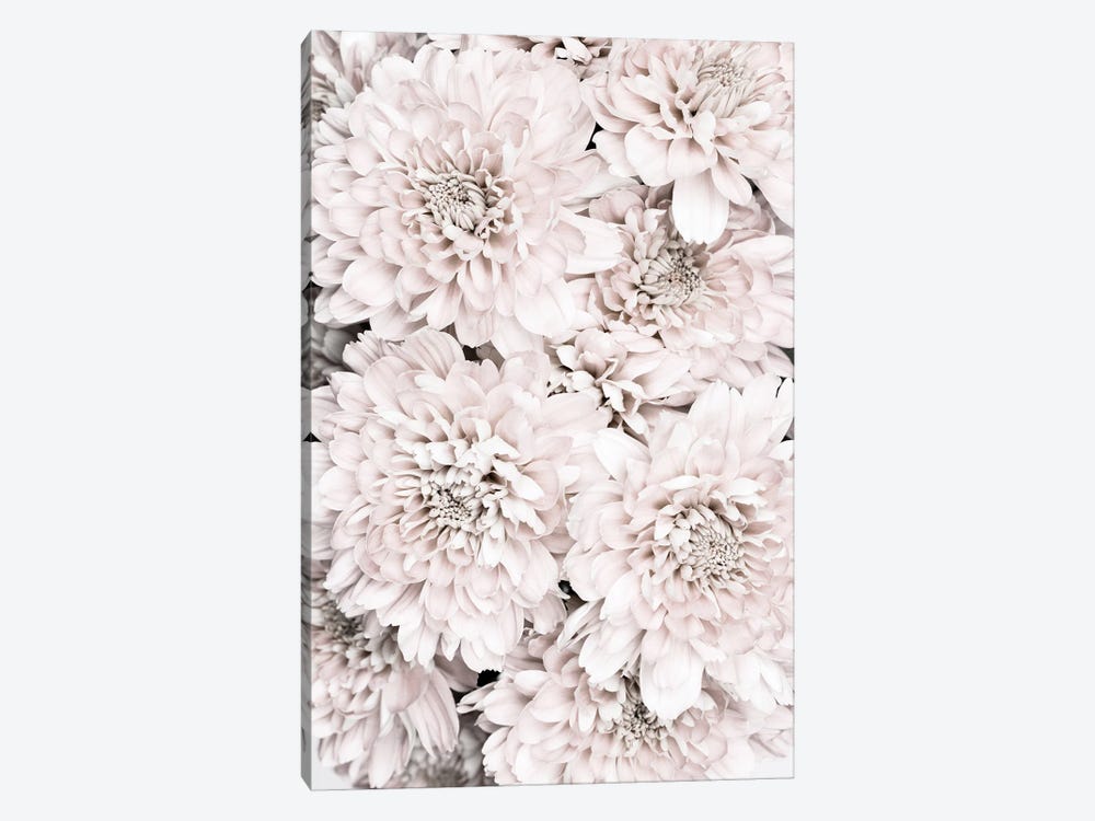 Chrysanthemum IX by 1x Studio 1-piece Canvas Art