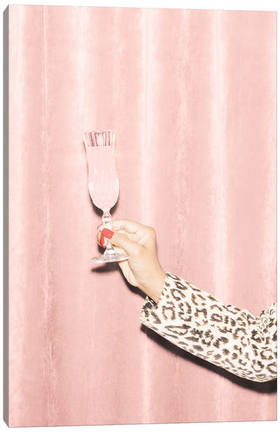 Here's To Pink IV Canvas Art Print