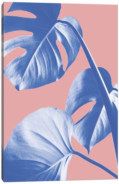 Monstera Purple V Canvas Art Print - 1x Floral and Botanicals