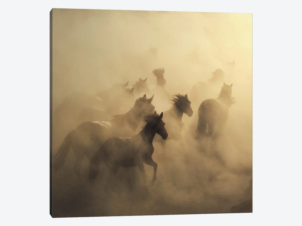 migration of horses by Hüseyin Taşkın 1-piece Canvas Art Print