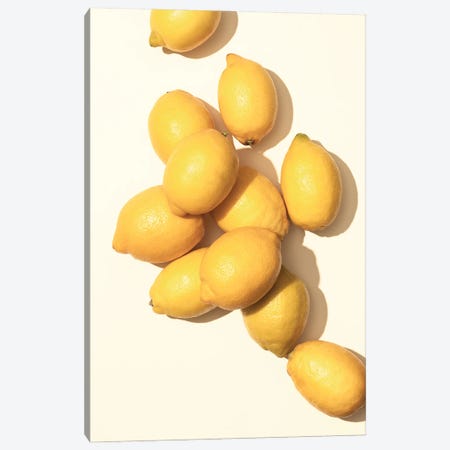 Lemons I Canvas Print #OXM6544} by 1X Studio Ii Canvas Print
