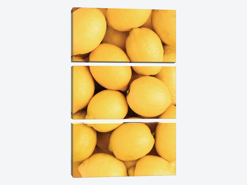 Lemons III by 1x Studio II 3-piece Canvas Art